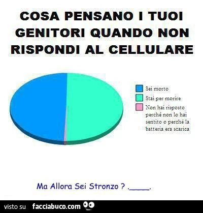 cosa pensano i tuoi genitori quando non rispondi al cellulare