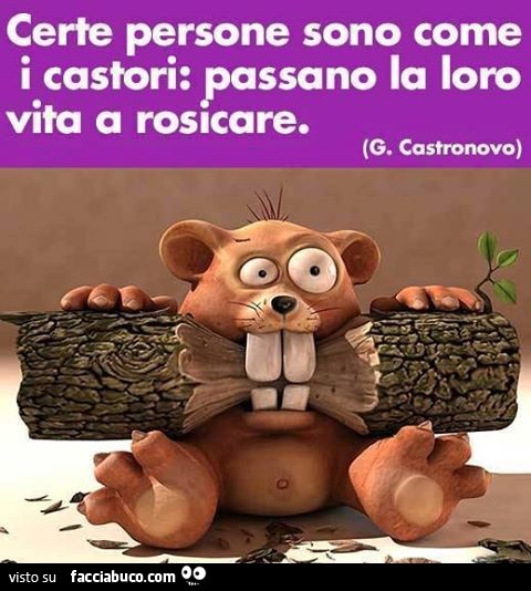 Certe persone sono come i castori: passano la loro vita a rosicare