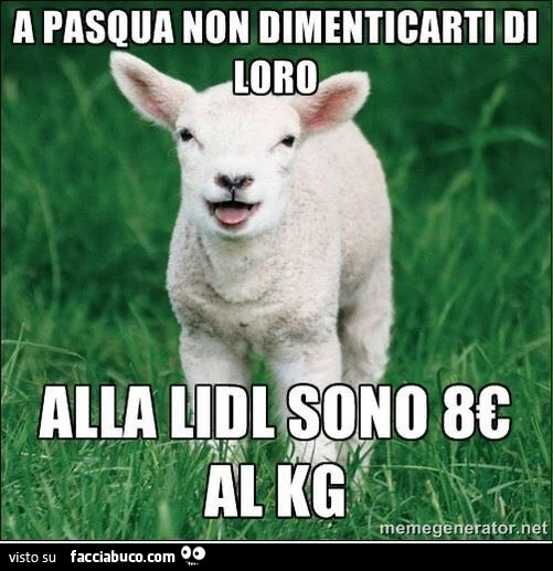A Pasqua non dimenticarti di loro. Alla Lidl sono 8€ al Kg