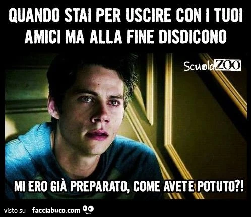 Quando stai per uscire con i tuoi amici ma alla fine disdicono. Mi ero già preparato, come avete potuto?