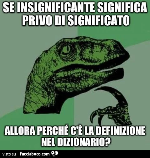 se insignificante significa privo di significato allora perchè c'è la definizione nel dizionario?