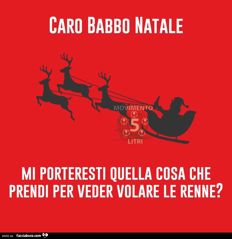 Caro Babbo Natale, mi porteresti quella cosa che prendi per veder volare le renne?