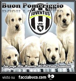 Buon pomeriggio Juventus