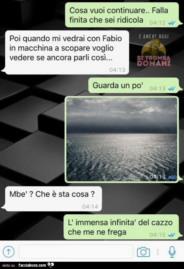 Cosa vuoi continuare, falla finita che sei ridicola. Poi quando mi vedrai con fabio in macchina a scopare voglio vedere se ancora parli così