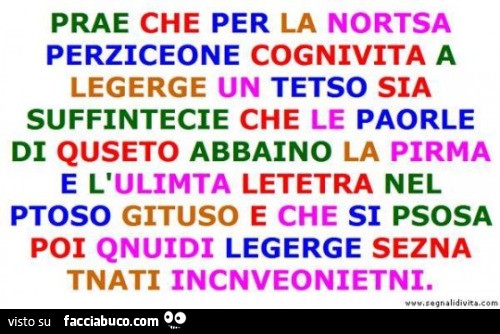 Prae che per la nortsa perziceone cognivita a legerge un tetso sia suffintecie che le paorle di quseto abbaino la pirma e l'ulimta letetra nel ptoso gituso