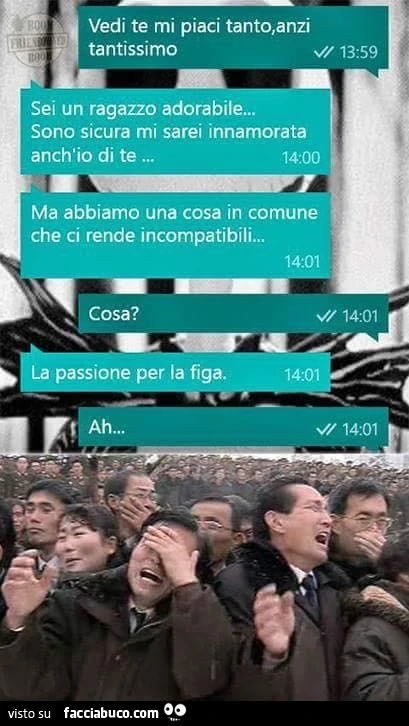 Sei un ragazzo adorabile. Sono sicura mi sarei innamorata anch'io di te, ma abbiamo una cosa in comune che ci rende incompatibili
