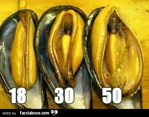 Le cozze come le vagine. 18 anni, 30 anni, 50 anni