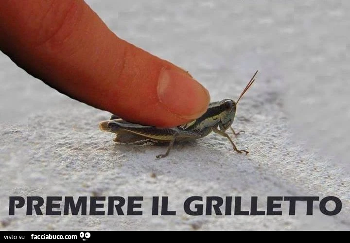 Premere il grilletto