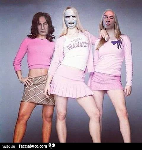 Ballerine Harry Potter