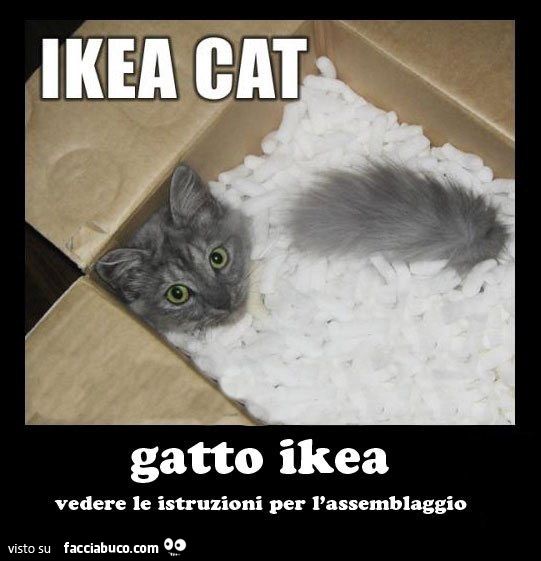 gatto ikea vedere le istruzioni per l'assemblaggio ikea cat