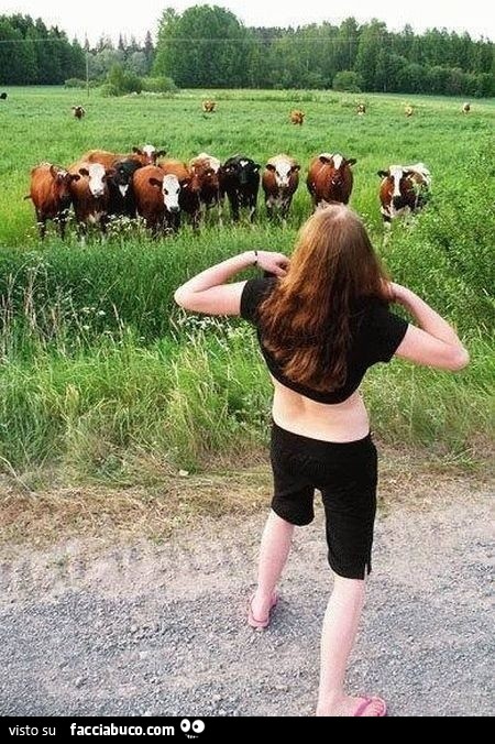 Ragazza mostra le tette alle vacche
