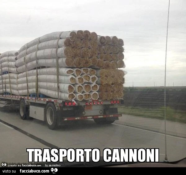 Trasporto cannoni