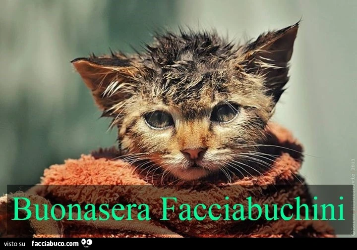 Buonasera Facciabuchini