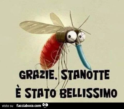 Grazie stanotte è stato bellissimo