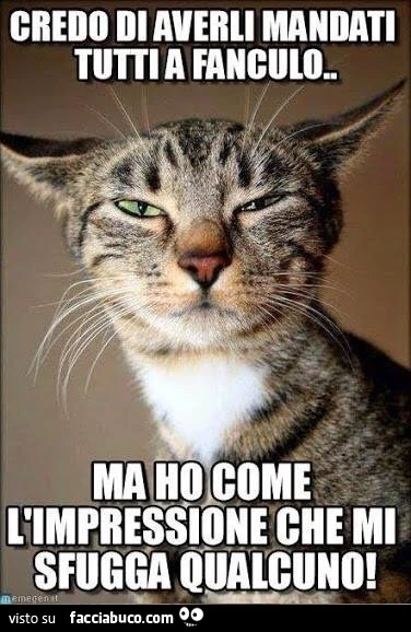 Credo di averli mandati tutti a fanculo, ma ho come l'impressione che mi sfugga qualcuno