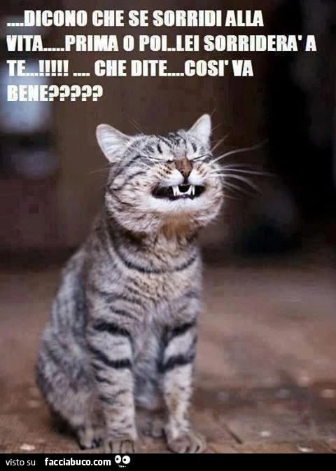 dicono che se sorridi alla vita, prima o poi lei sorriderà a te... che dite, così va bene?