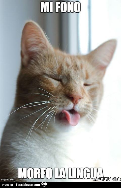 Il gatto con la lingua di fuori: mi fono morfo la lingua