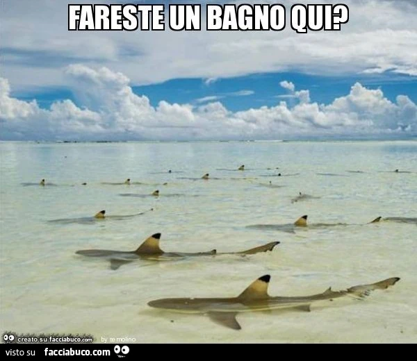 Fareste un bagno qui?