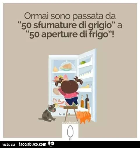 Ormai sono passata da 50 sfumature di grigio a 50 aperture di frigo