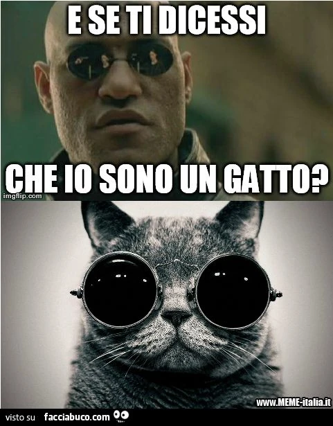 morpheus e se ti dicessi che io sono un gatto?