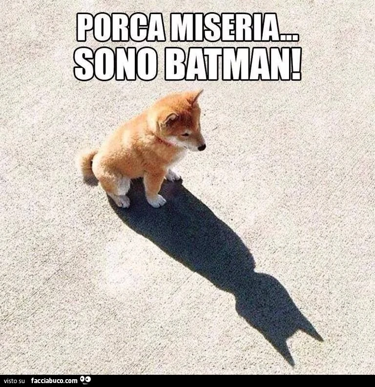 Porca miseria sono Batman