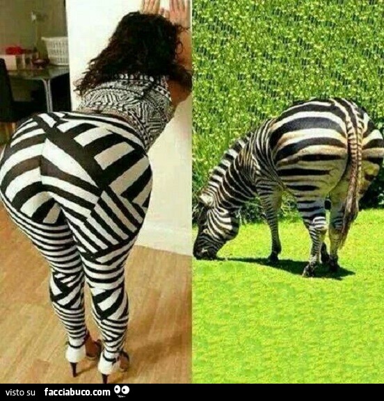 Donna con il culone e i pantaloni in stile zebra