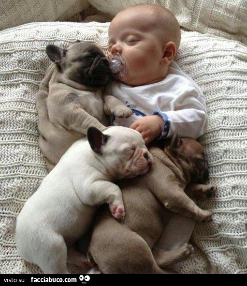 tre cuccioli di cane dormono assieme a neonato