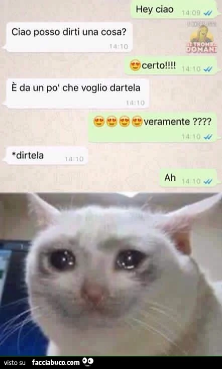Hey ciao. Ciao posso dirti una cosa? Certo. E' da un po' che voglio dartela. Veramente? Dirtela
