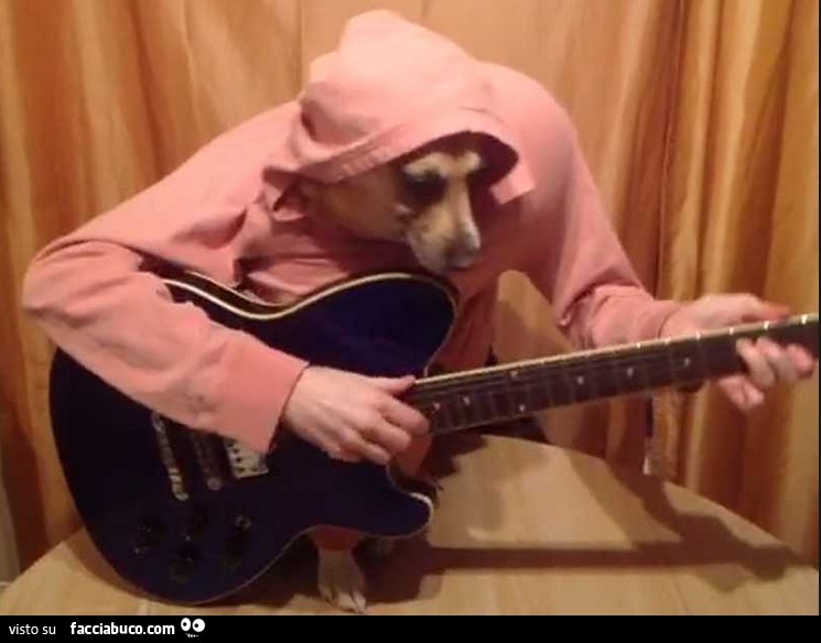 Ragazzo con testa di cane suona la chitarra