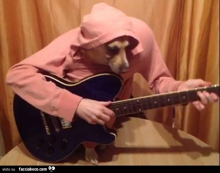 Ragazzo con testa di cane suona la chitarra