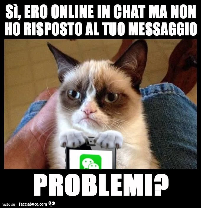 si ero online in chat ma non ho risposto al tuo messaggio problemi?
