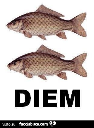 Diem