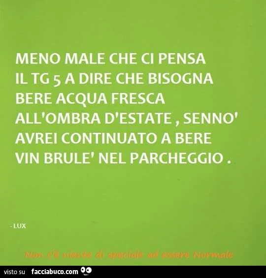 Meno male che ci pensa il TG5 a dire che bisogna bere acqua fresca