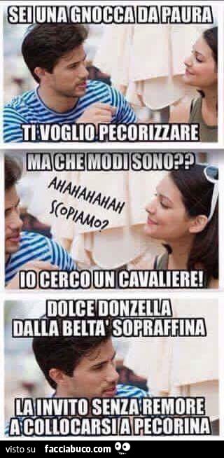 Sei una gnocca da paura, ti voglio pecorizzare. Ma che modi sono? Io cerco un cavaliere. Dolce donzella dalla beltà sopraffina, la invito senza remore a collocarsi a pecorina