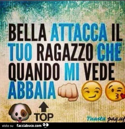 Bella attacca il tuo ragazzo che quando mi vede abbaia
