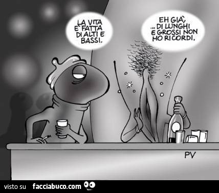 La vita è fatta di alti e bassi. Eh già, di lunghi e grossi non ho ricordi