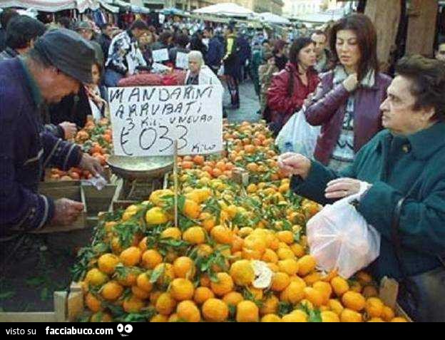 Mandarini arrubbati 3 kili un euro