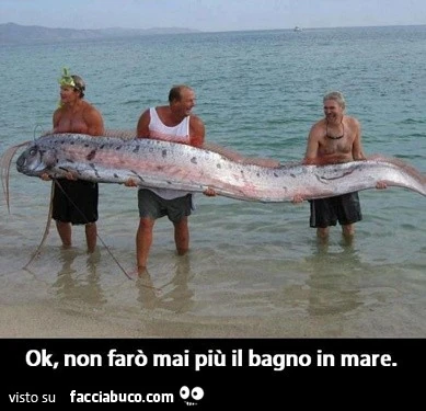 Ok, non farò mai più il bagno in mare