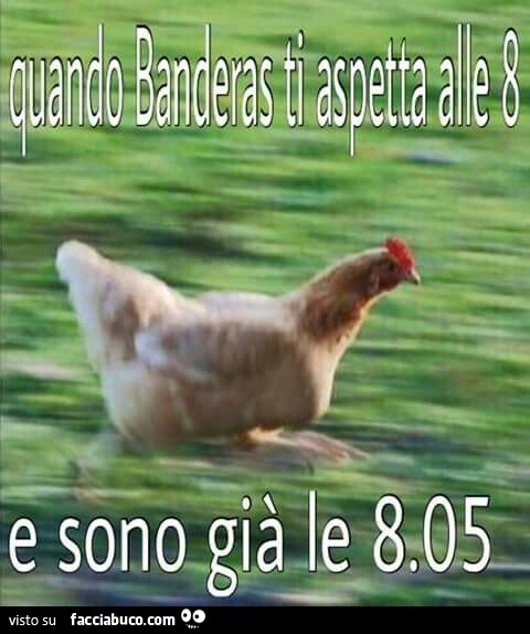 Gallina che corre. Quando Banderas ti aspetta alle 8 e sono già le 8:05