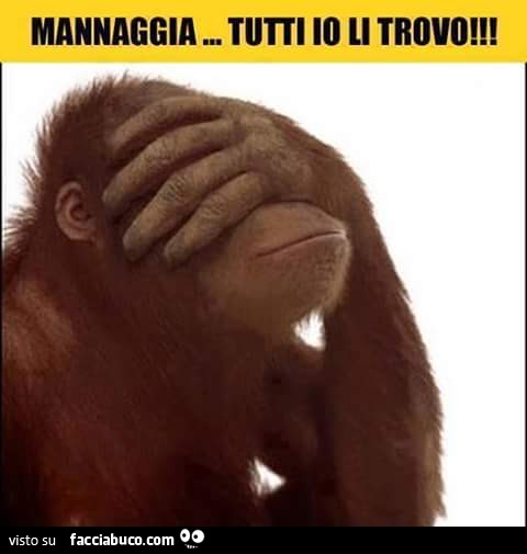 Scimmia mano sul volto. Mannaggia, tutti io li trovo