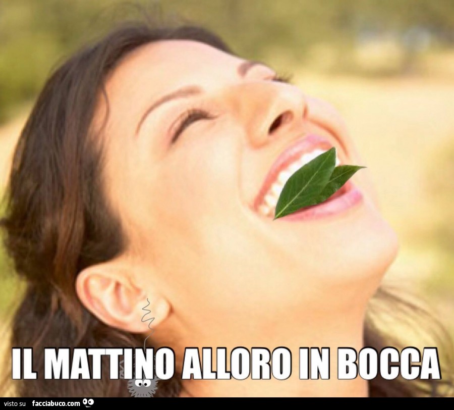 Il mattino alloro in bocca