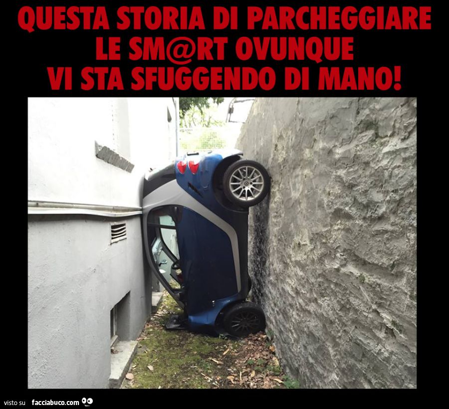Questa storia di parcheggiare la smart ovunque vi sta sfuggendo di mano