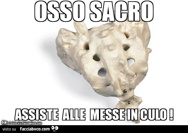 Osso sacro. Assiste alle messe in culo
