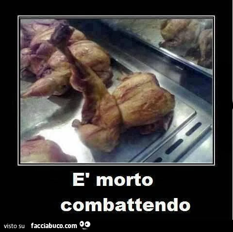 Pollo allo spiedo con coscia dritta: è morto combattendo