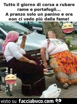 Vaccata