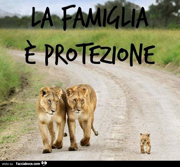 La famiglia è protezione