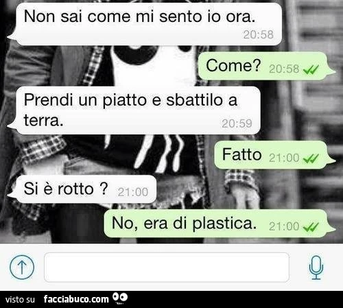 Non sai come mi sento io ora. Come? Prendi un piatto e sbattilo a terra. Fatto. Si è rotto? No, era di plastica
