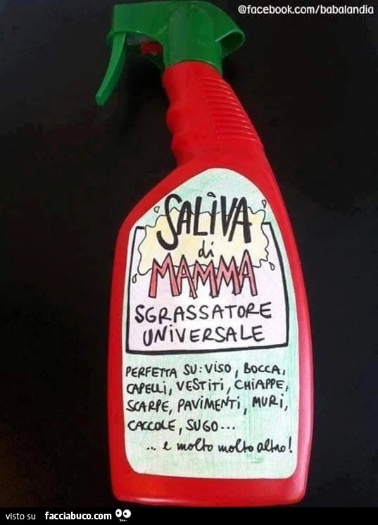 Saliva di mamma sgrassatore universale
