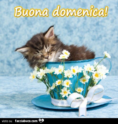 Risultati immagini per buona domenica caffè