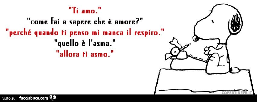 Snoopy: ti asmo!